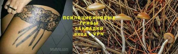 spice Верея