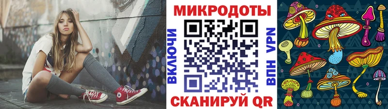 Галлюциногенные грибы Psilocybine cubensis  Новороссийск 